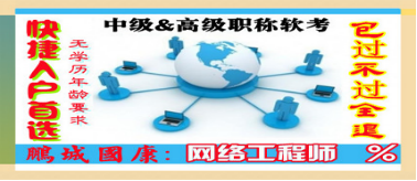 網(wǎng)絡(luò)信息技術(shù)開(kāi)發(fā) 數(shù)字時(shí)代的核心職業(yè)技能